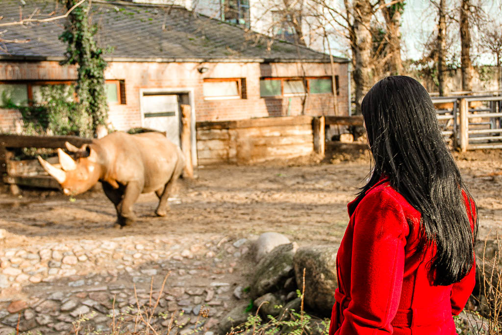 Berlim_Alemanha_amamosviajar -073