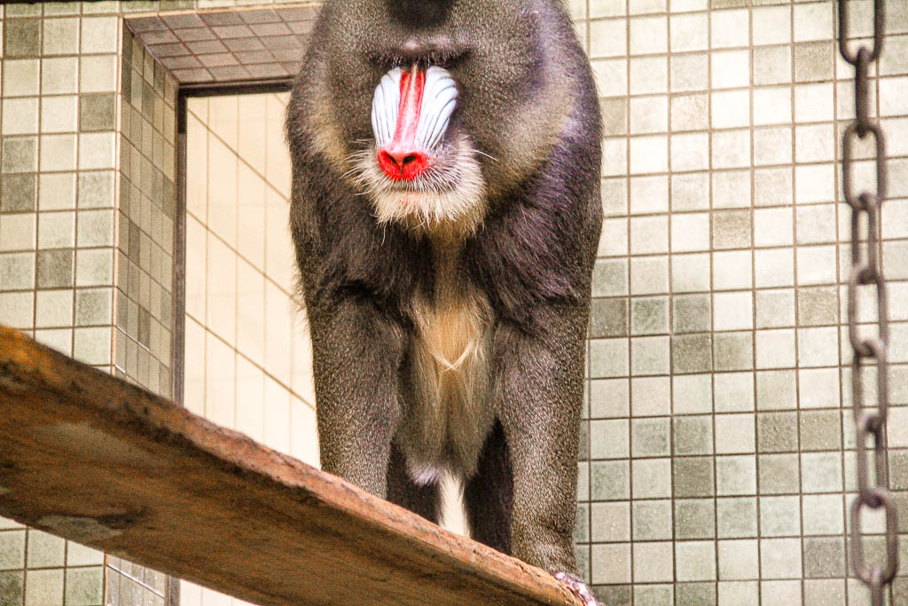 Berlim_Alemanha_amamosviajar -081