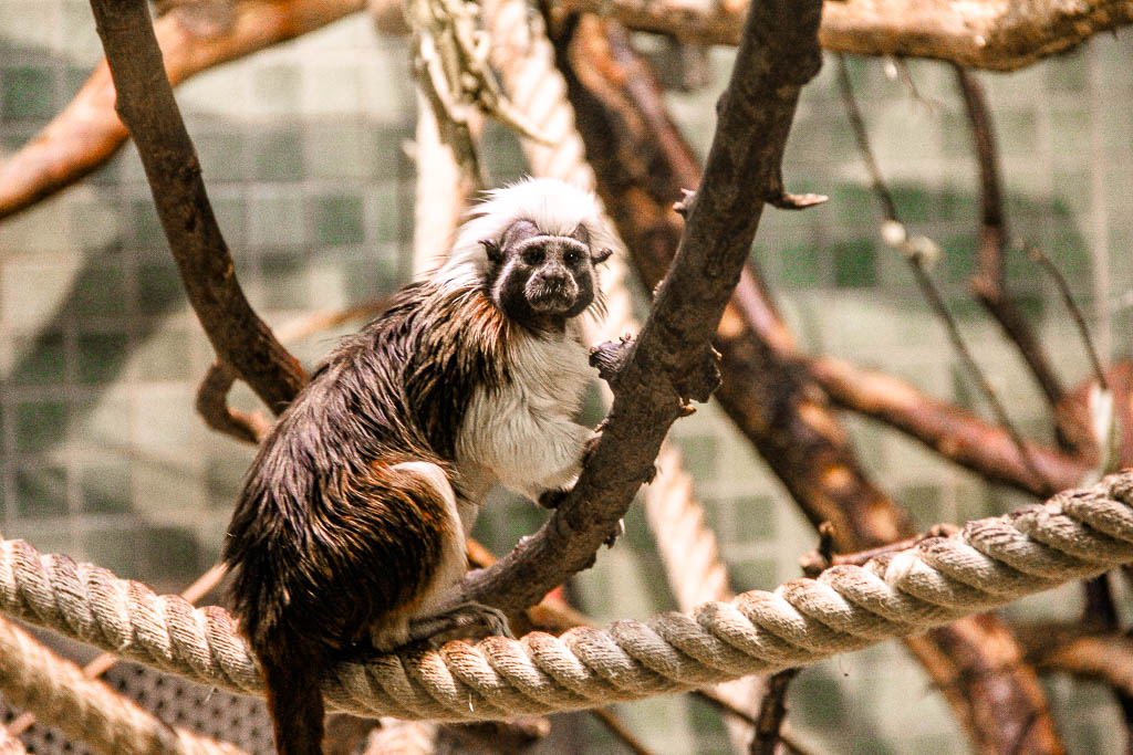 Berlim_Alemanha_amamosviajar -083