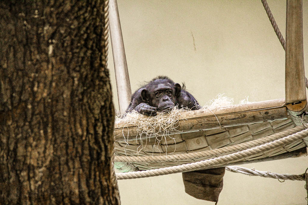 Berlim_Alemanha_amamosviajar -086