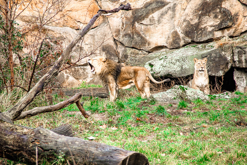 Berlim_Alemanha_amamosviajar -088