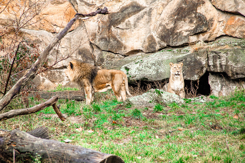 Berlim_Alemanha_amamosviajar -089