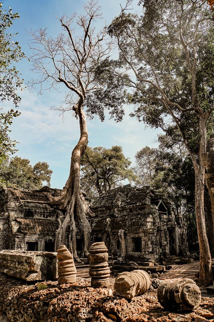 Camboja amamosviajar 129 1