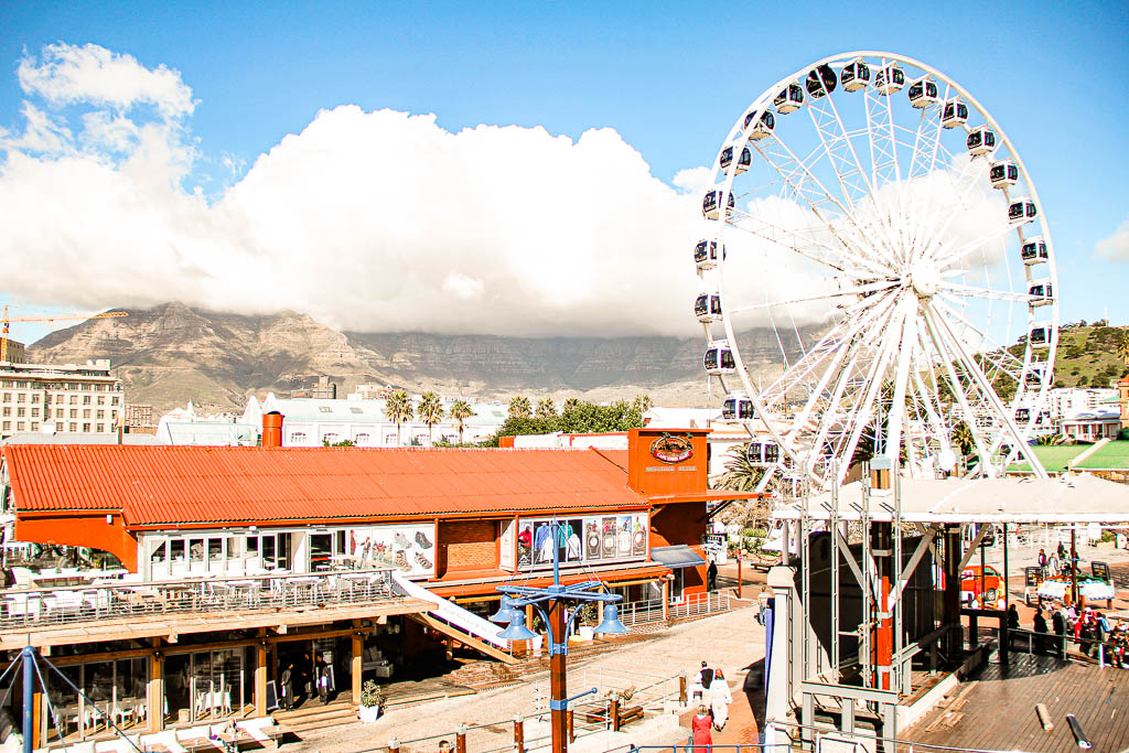 Cape_Town_Africa_amamosviajar -142