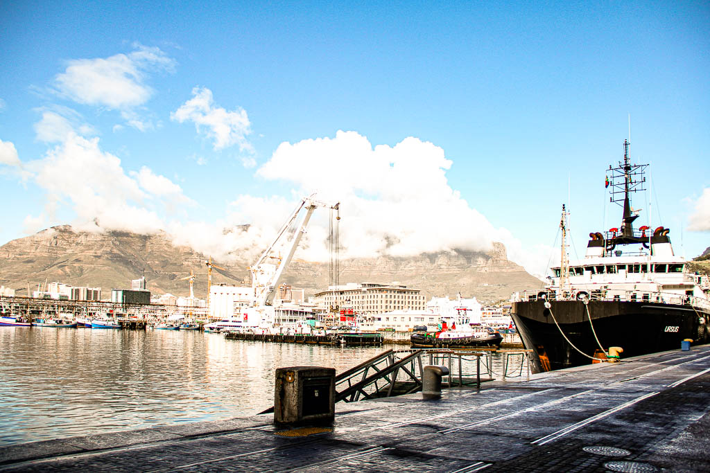 Cape_Town_Africa_amamosviajar -161