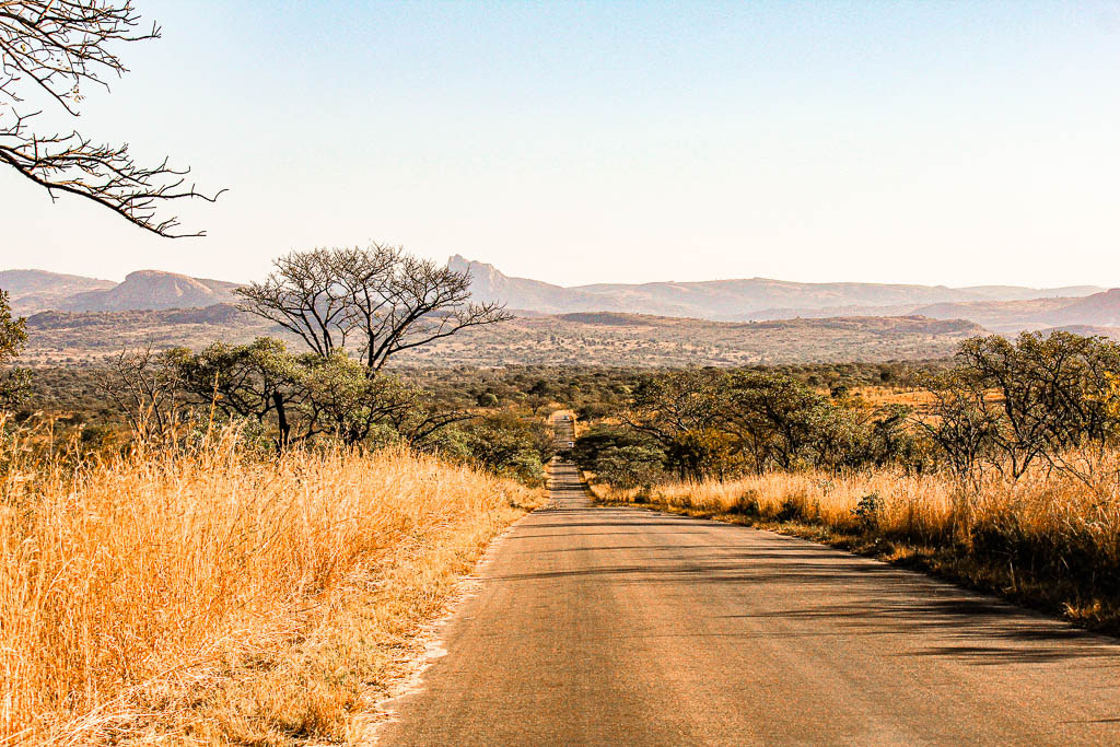 Kruger_Africa__amamosviajar -007