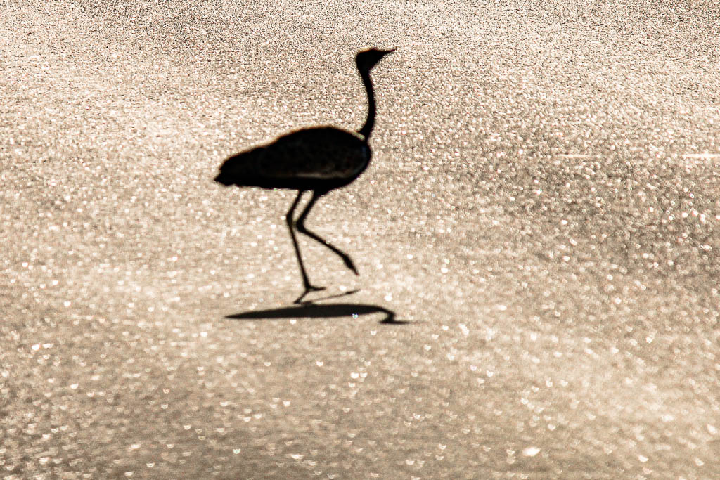 Kruger_Africa__amamosviajar -012