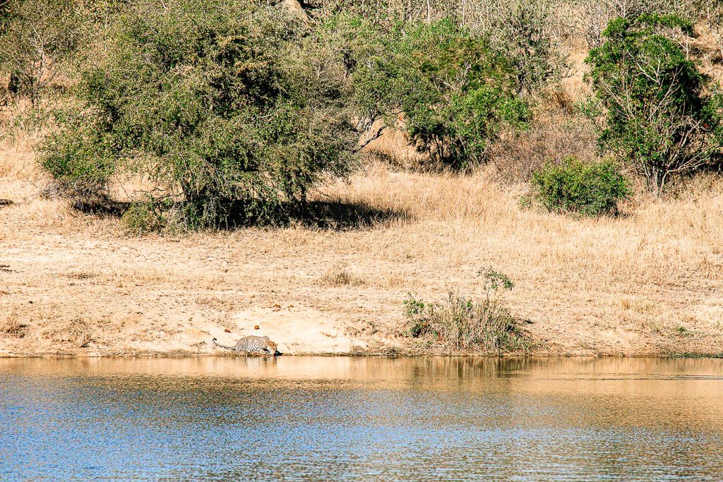 Kruger_Africa__amamosviajar -024