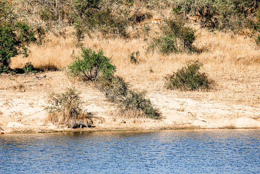 Kruger_Africa__amamosviajar -027