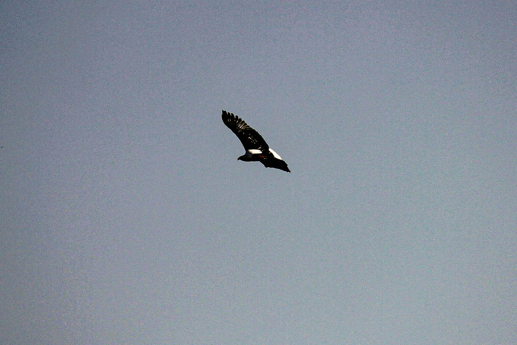 Kruger_Africa__amamosviajar -174