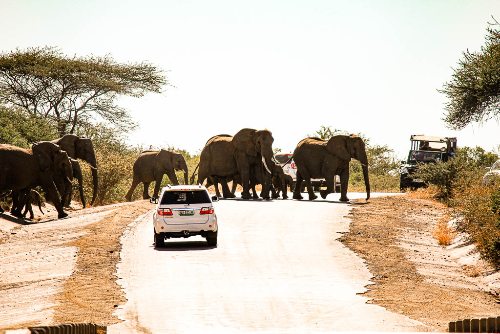 Kruger_Africa__amamosviajar -205