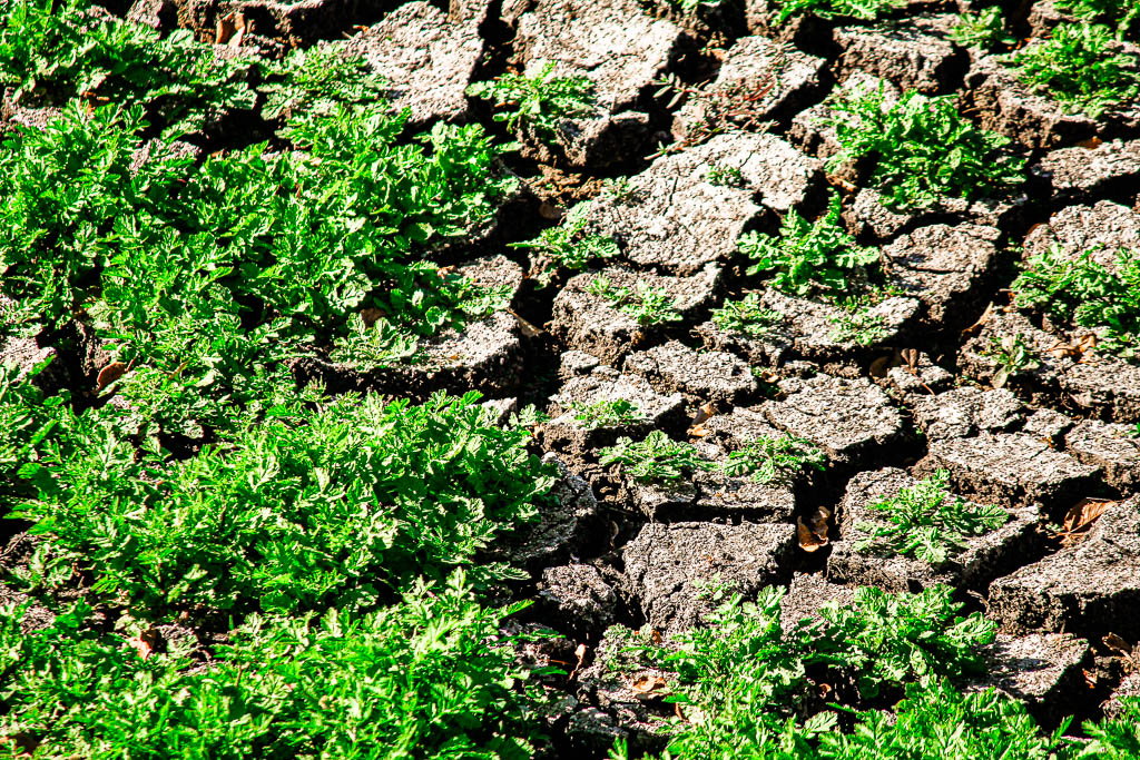 Kruger_Africa__amamosviajar -213