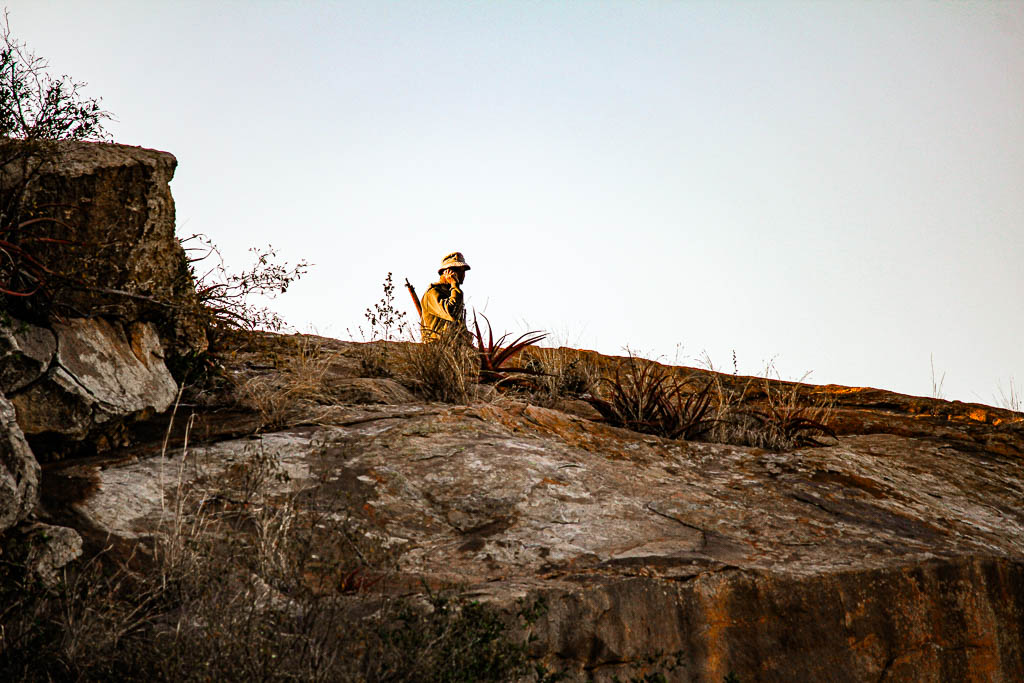 Kruger_Africa__amamosviajar -246