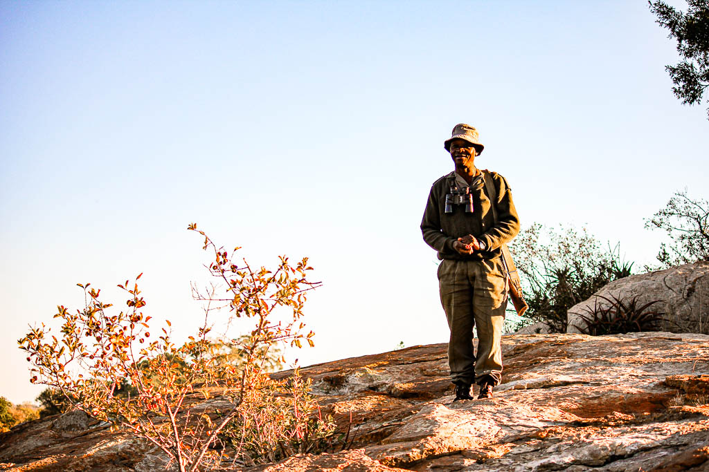 Kruger_Africa__amamosviajar -253