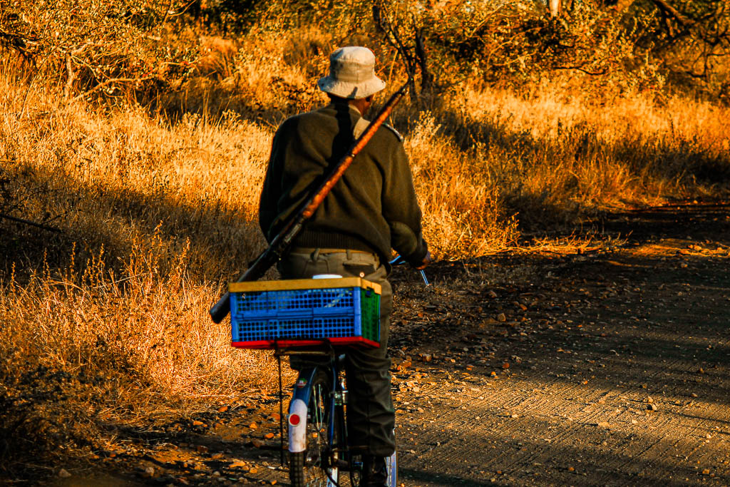 Kruger_Africa__amamosviajar -266