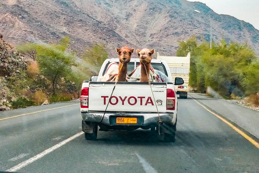 Oman_amamosviajar -003