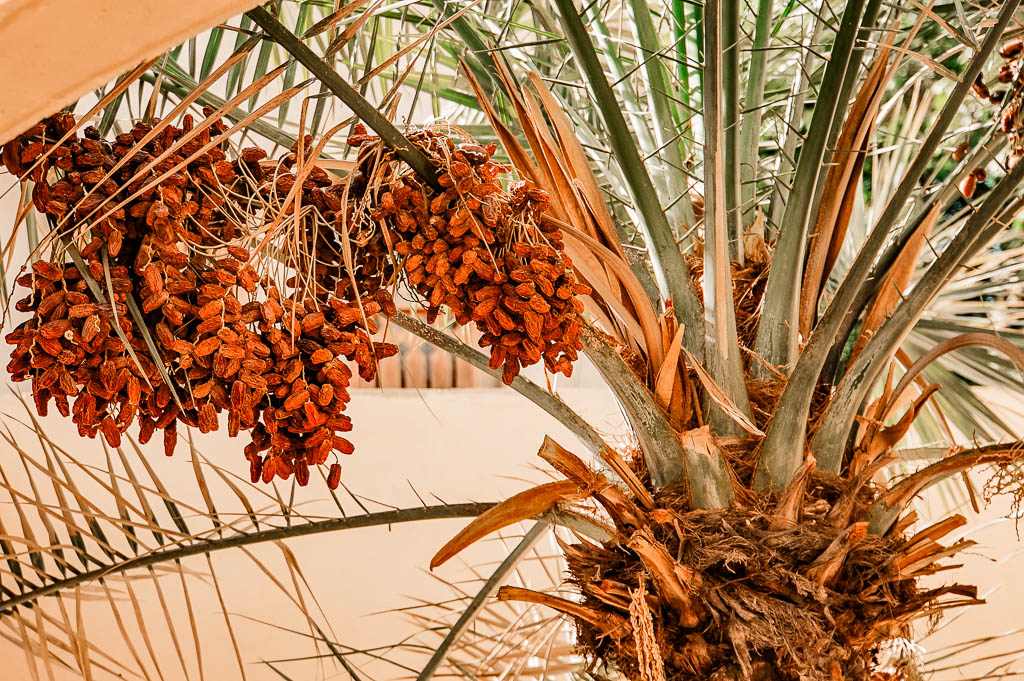 Oman_amamosviajar -208