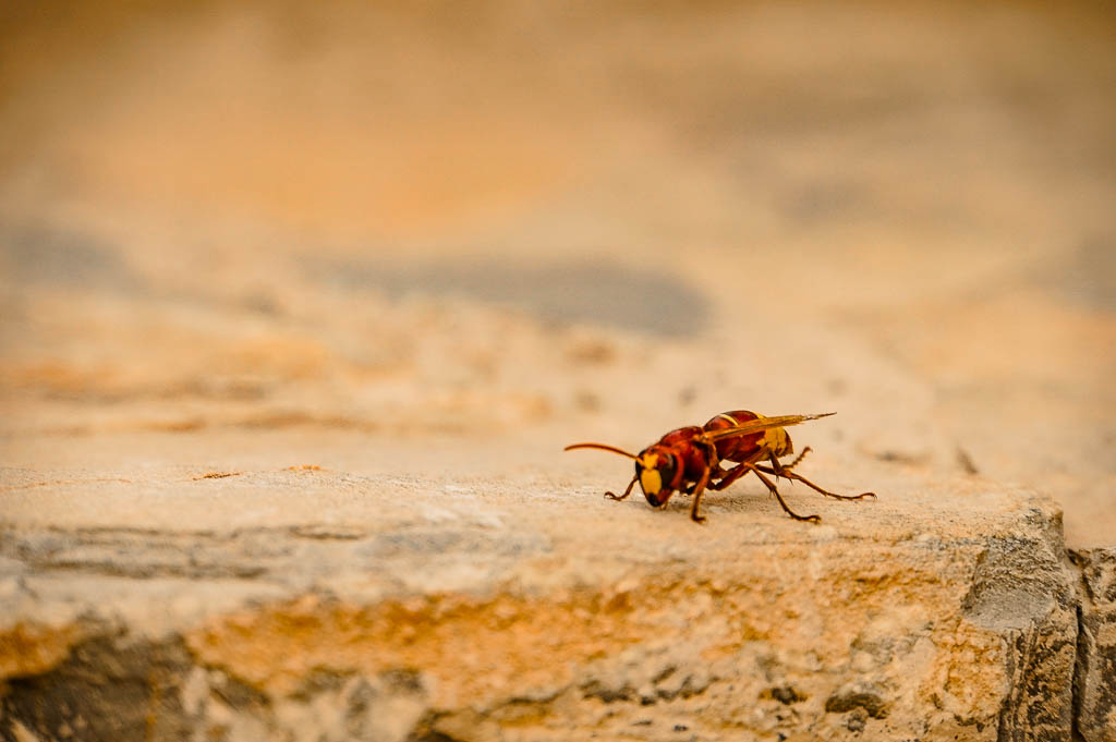 Oman_amamosviajar -224