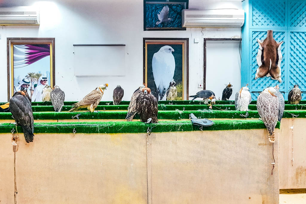 Falcon Souq, Doha, Qatar