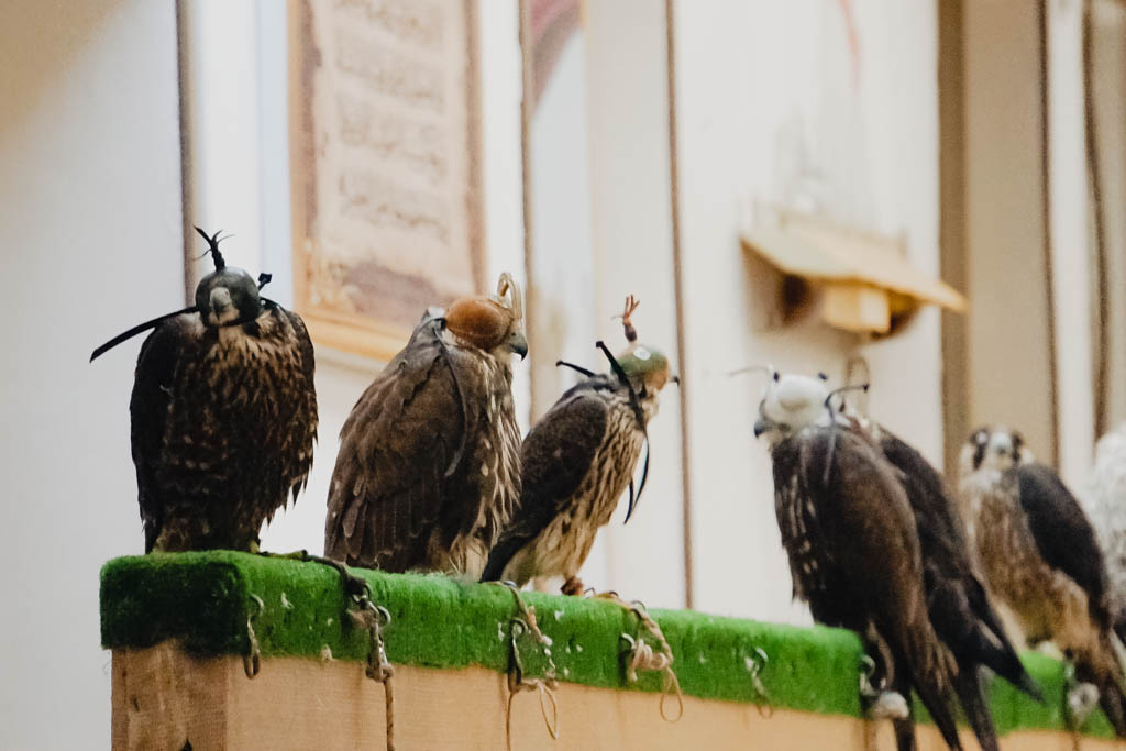Falcon Souq, Doha, Qatar