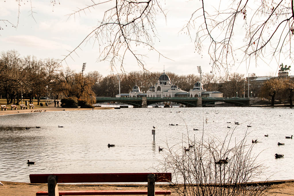 Budapeste_Hungria_amamosviajar -073