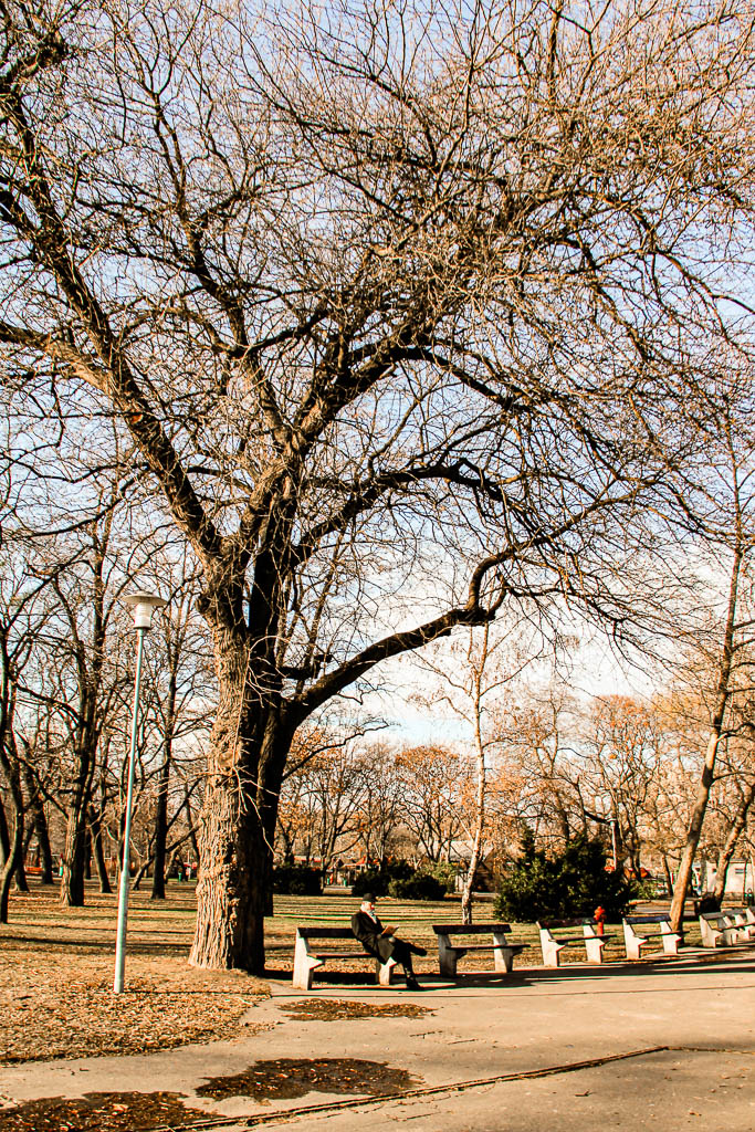 Budapeste_Hungria_amamosviajar -077