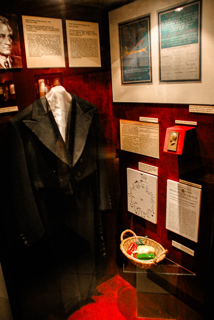 Budapeste_Hungria_amamosviajar -115