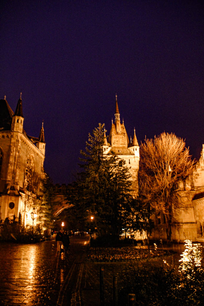 Budapeste_Hungria_amamosviajar -245