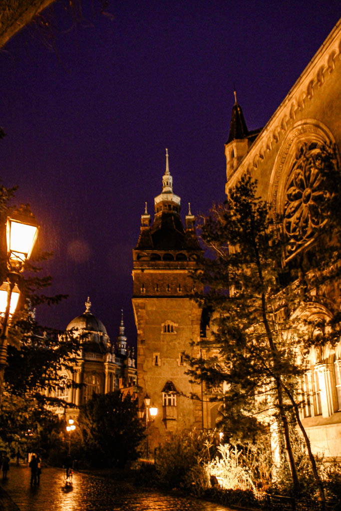 Budapeste_Hungria_amamosviajar -249