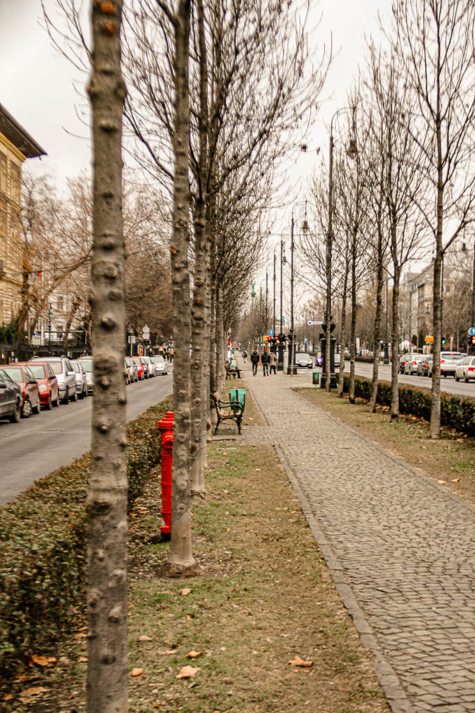 Budapeste_Hungria_amamosviajar -276