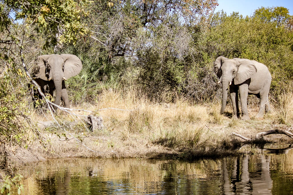 Livingstone_Zambia__amamosviajar -035