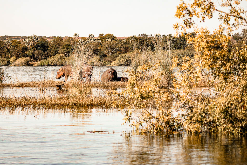 Livingstone Zambia amamosviajar 042