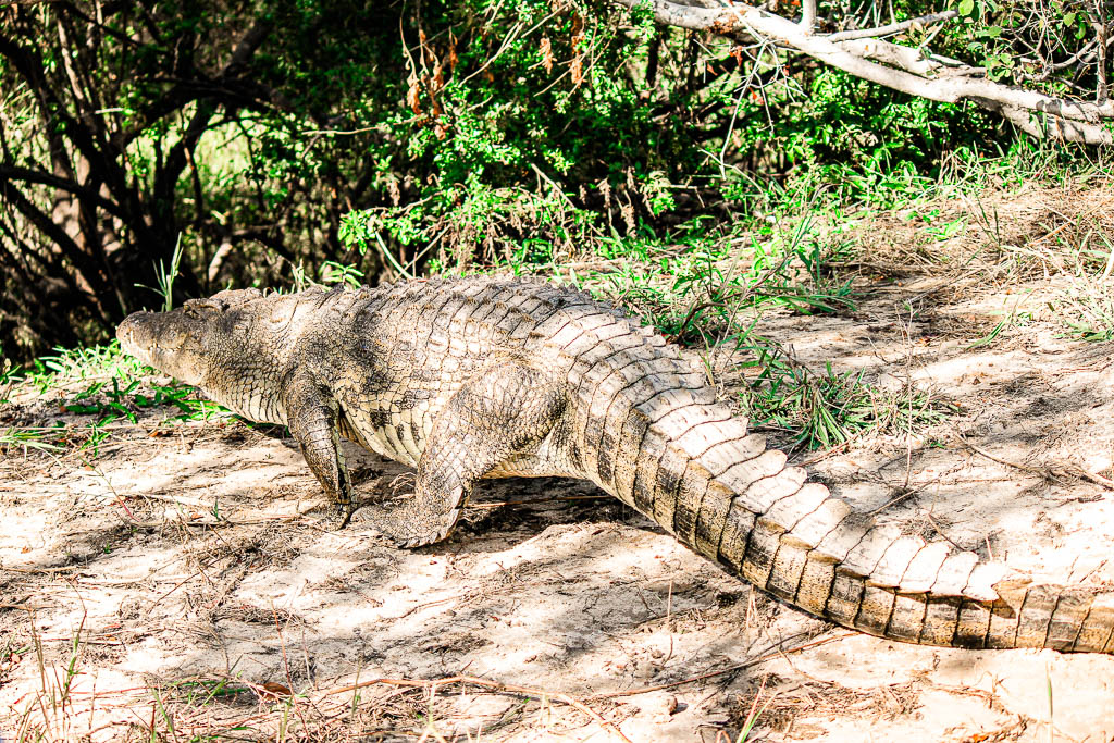 Livingstone_Zambia__amamosviajar -043