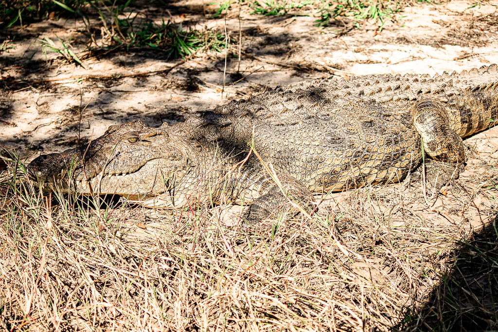 Livingstone_Zambia__amamosviajar -044