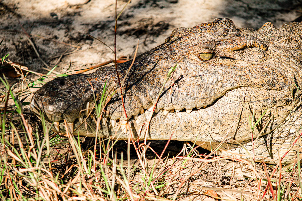 Livingstone_Zambia__amamosviajar -045