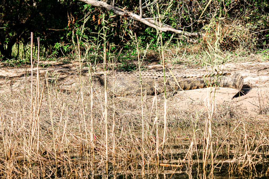 Livingstone_Zambia__amamosviajar -046