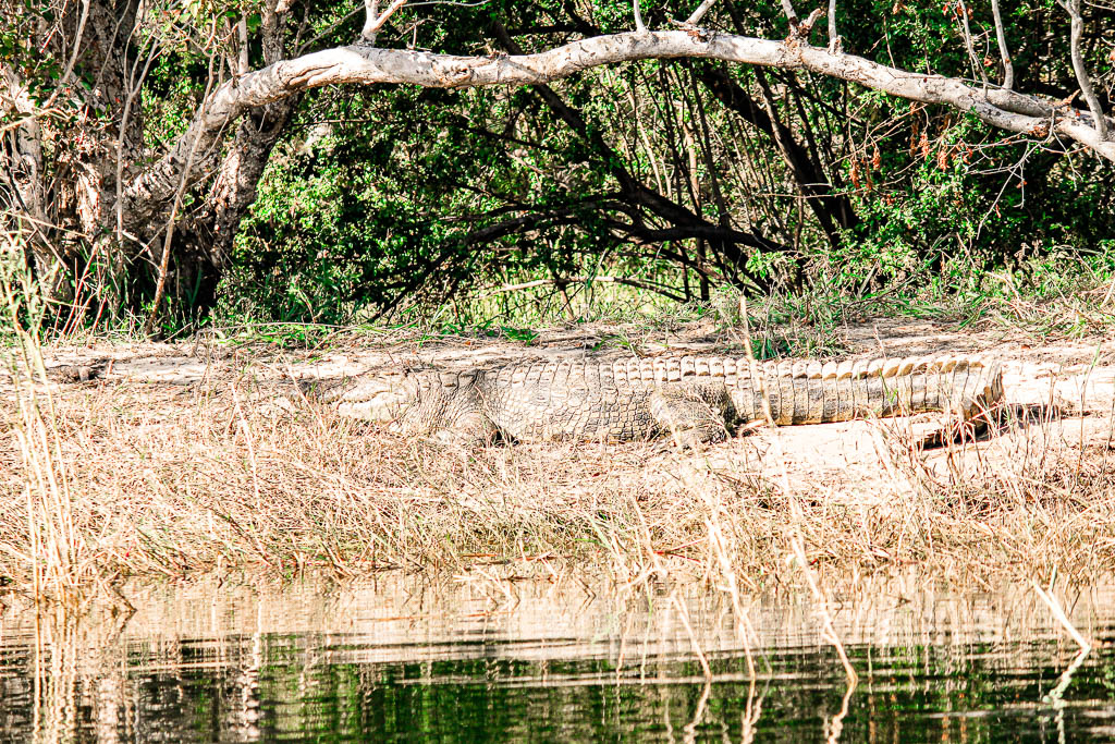 Livingstone_Zambia__amamosviajar -047