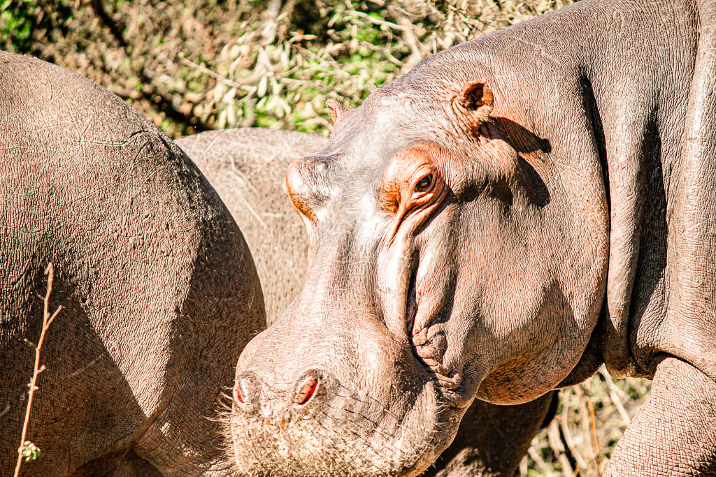 Livingstone_Zambia__amamosviajar -050