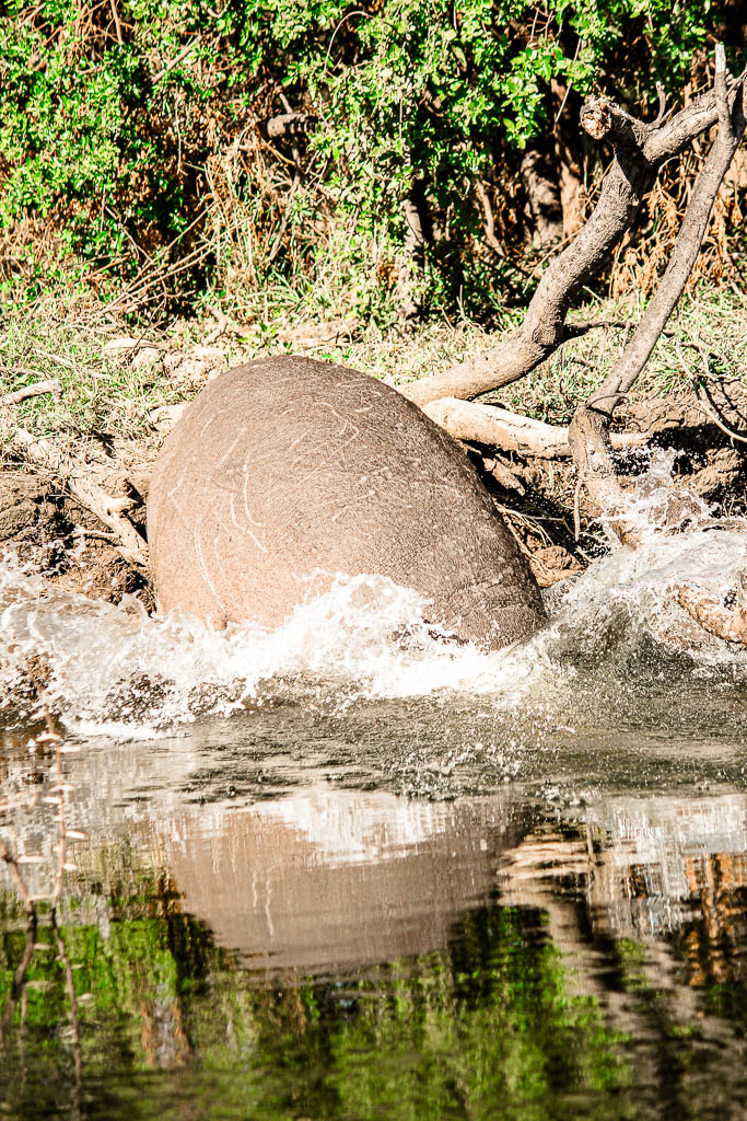 Livingstone_Zambia__amamosviajar -056