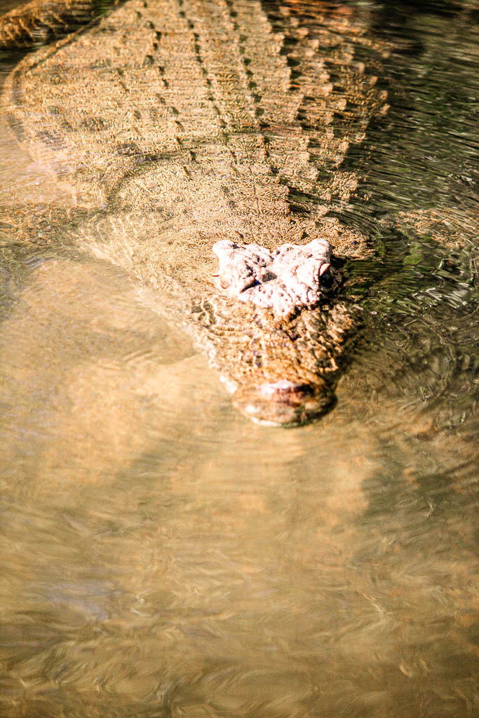 Livingstone_Zambia__amamosviajar -061