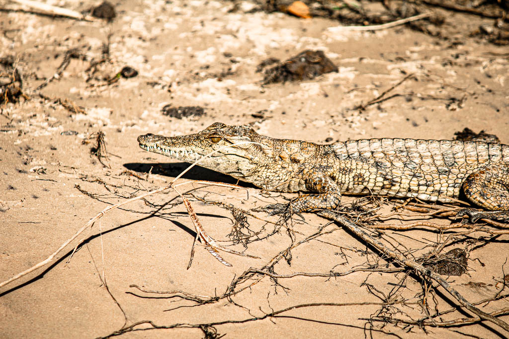 Livingstone_Zambia__amamosviajar -062