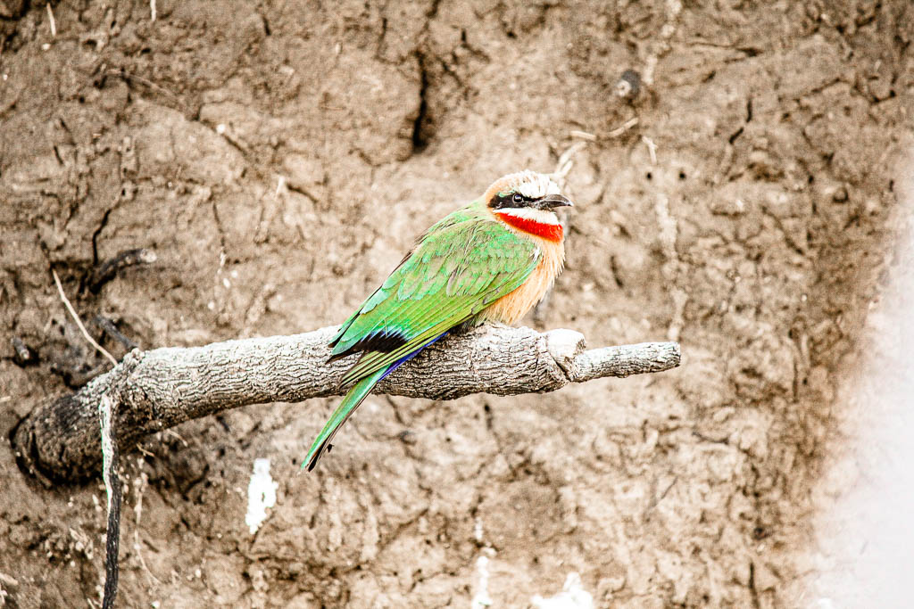 Livingstone_Zambia__amamosviajar -065