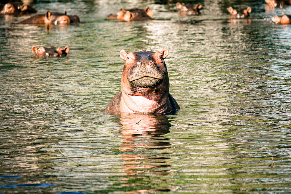 Livingstone_Zambia__amamosviajar -074