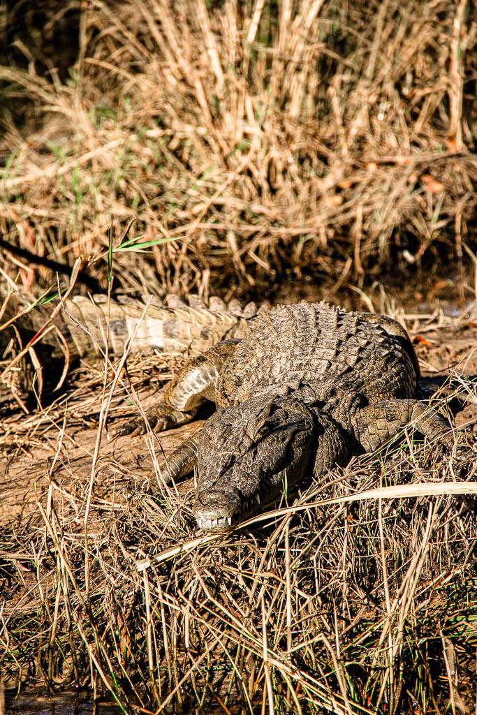 Livingstone_Zambia__amamosviajar -080