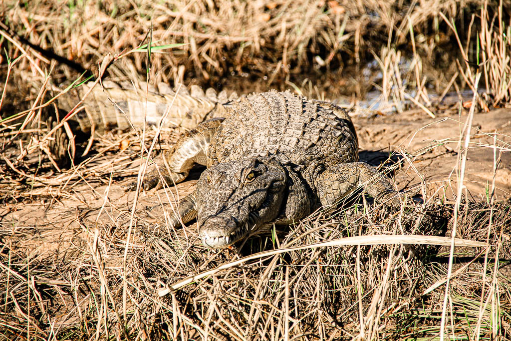 Livingstone_Zambia__amamosviajar -081