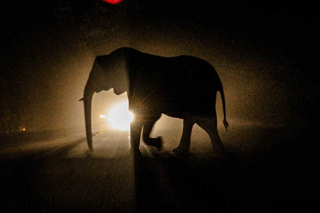 Livingstone_Zambia__amamosviajar -087