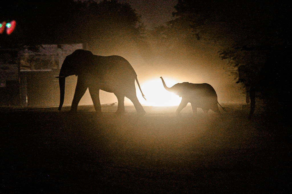 Livingstone_Zambia__amamosviajar -089