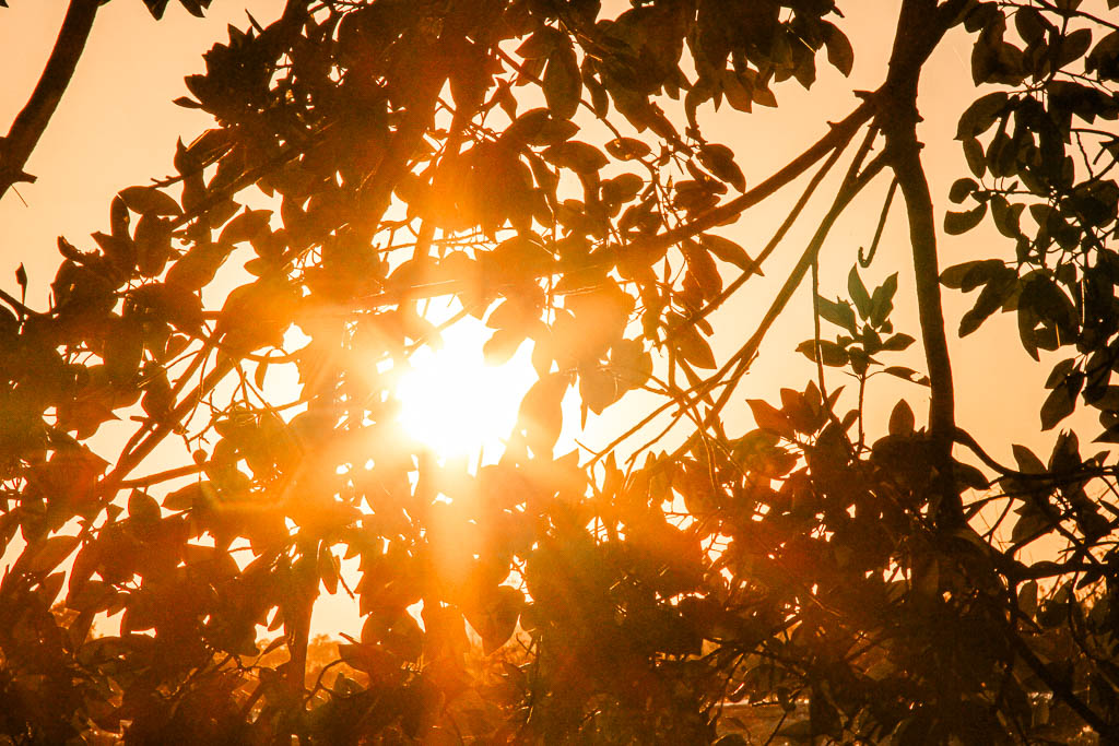 Livingstone_Zambia__amamosviajar -121