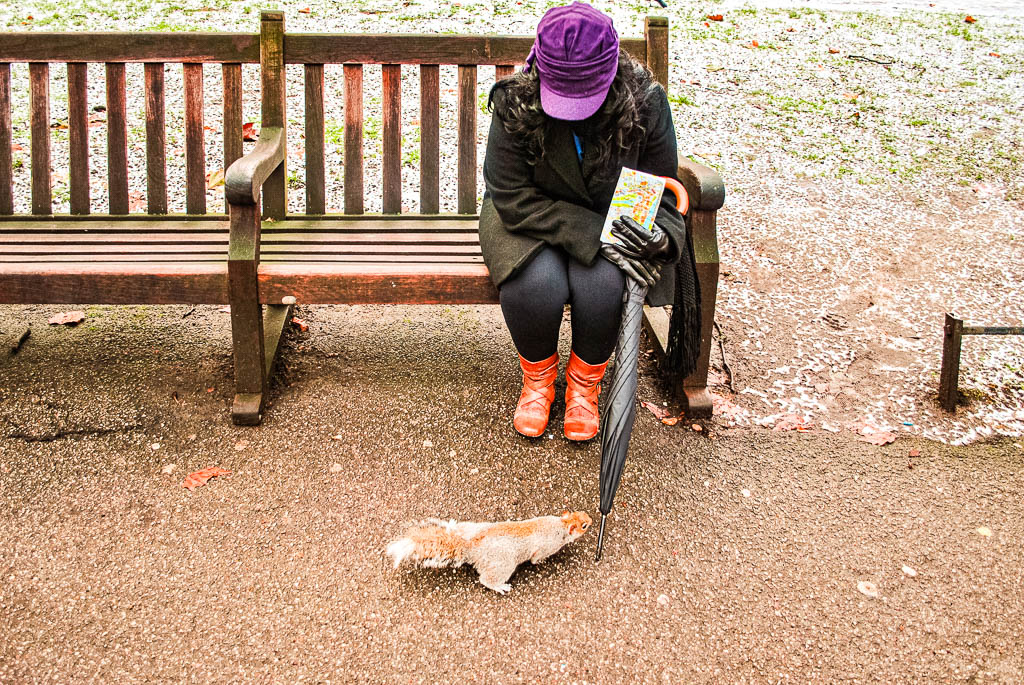 Londres1_Inglaterra_amamosviajar -172