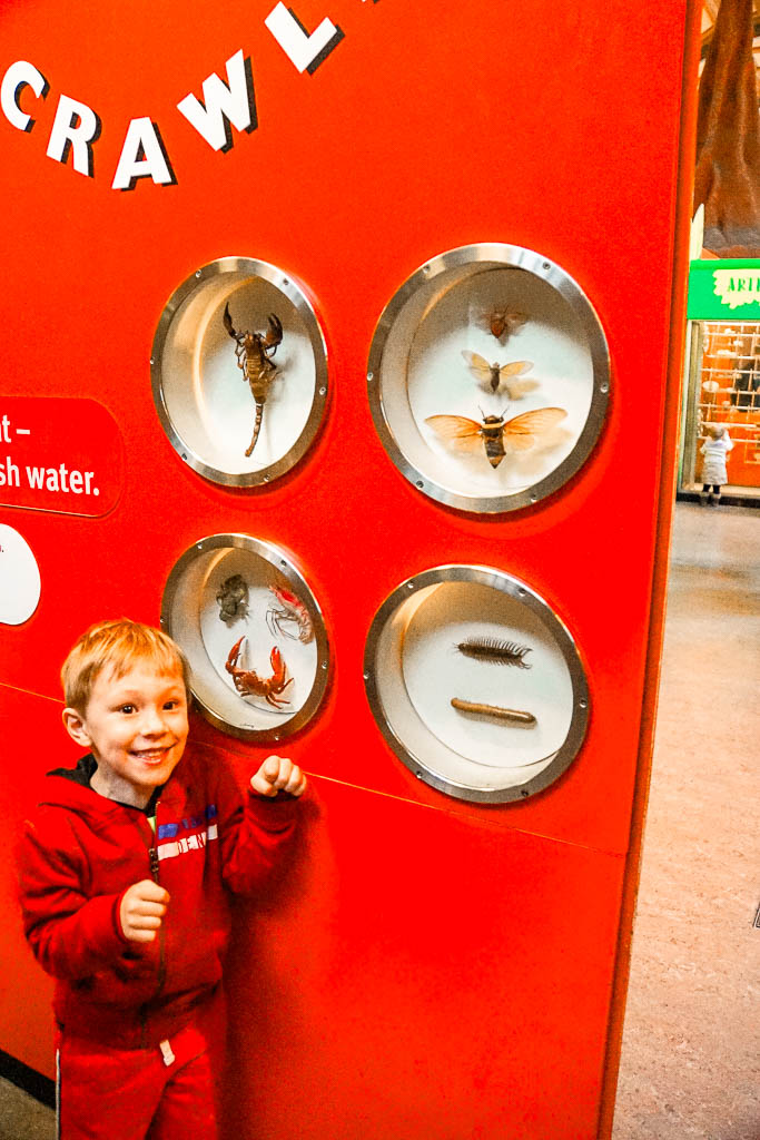 Londres2_amamosviajar -15